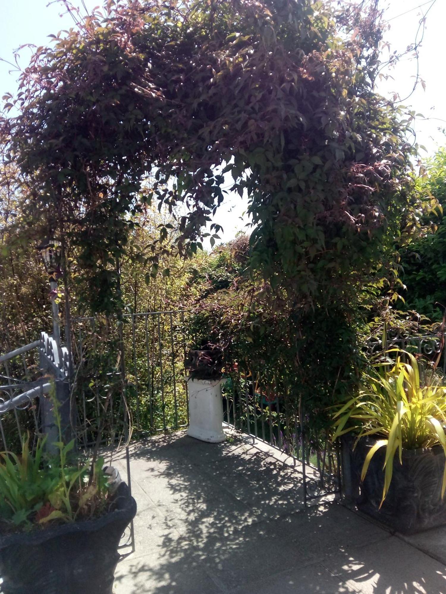 Melrose Bed And Breakfast Clonakilty Exterior photo